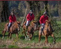 1CHASSE0226