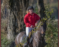1CHASSE0227