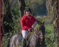1CHASSE0229