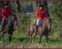 1CHASSE0233