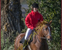 1CHASSE0236