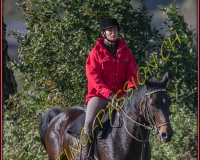 1CHASSE0239