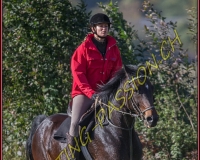 1CHASSE0241