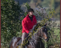 1CHASSE0242