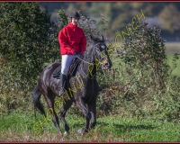 1CHASSE0247