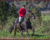 1CHASSE0249