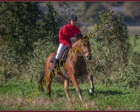 1CHASSE0251