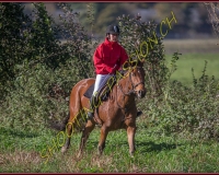 1CHASSE0253