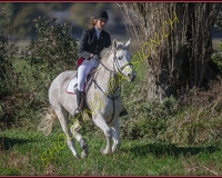 1CHASSE0260
