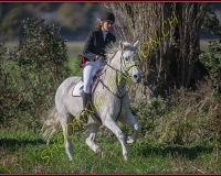 1CHASSE0261