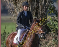 1CHASSE0265