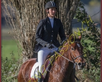 1CHASSE0266
