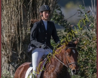 1CHASSE0267