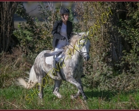 1CHASSE0272