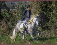 1CHASSE0273