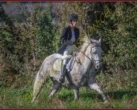 1CHASSE0274