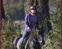 1CHASSE0276