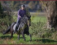 1CHASSE0278