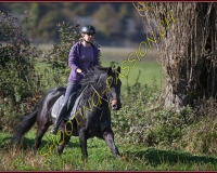 1CHASSE0279