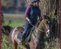 1CHASSE0283