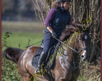 1CHASSE0284