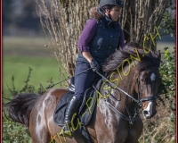 1CHASSE0285