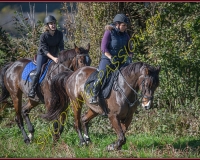 1CHASSE0288