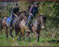 1CHASSE0289