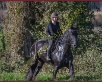 1CHASSE0298