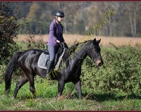 1CHASSE0301