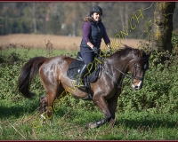 1CHASSE0308