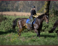 1CHASSE0312