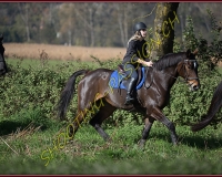 1CHASSE0314