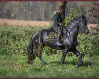 1CHASSE0320
