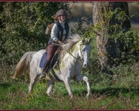 1CHASSE0354