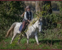 1CHASSE0355