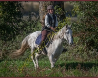1CHASSE0357