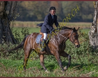 1CHASSE0359