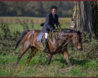 1CHASSE0361