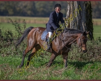 1CHASSE0362
