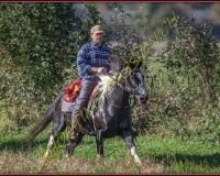 1CHASSE0368