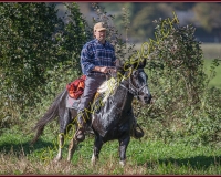 1CHASSE0369