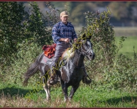 1CHASSE0370