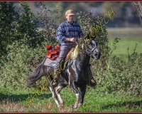 1CHASSE0371