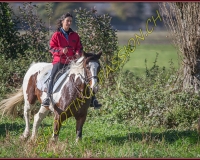 1CHASSE0372