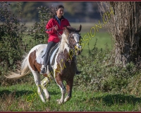 1CHASSE0374