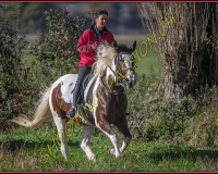 1CHASSE0375