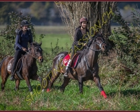 1CHASSE0380