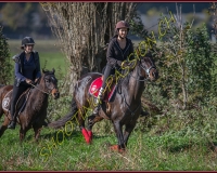 1CHASSE0382