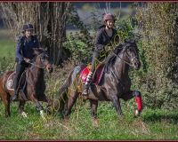 1CHASSE0385